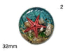 starfish in resin cabochon for jewelry making
