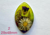 real dry flowers in resin cabochons for jewelry making