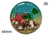 round starfish in resin cabochon for jewelry making