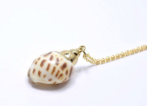 natural sea shell jewelry set