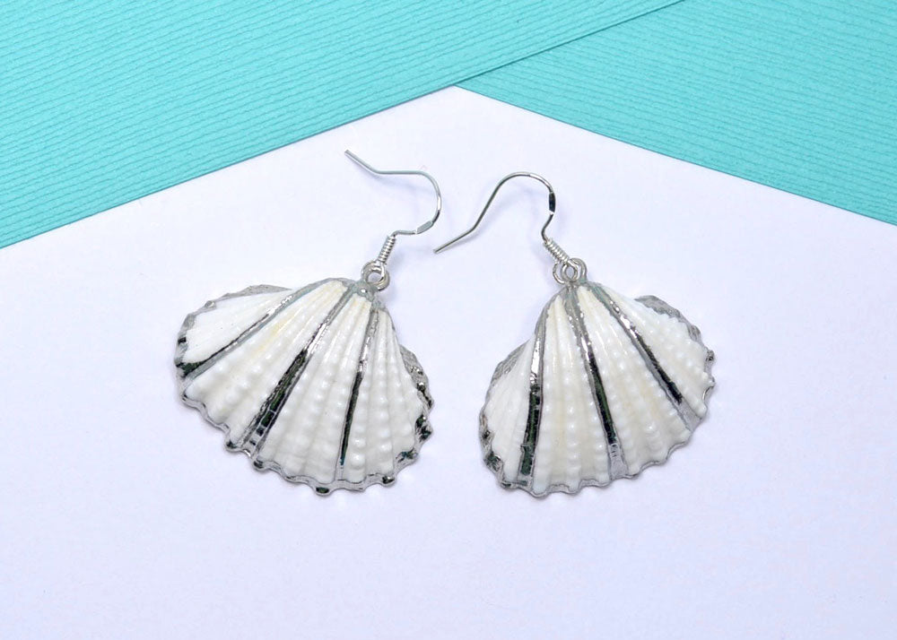 natural sea shell earrings