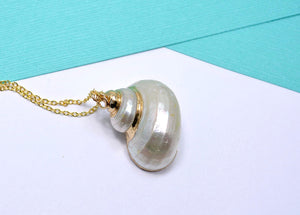 natural sea shell jewelry pendant