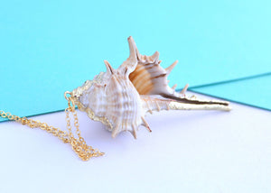 natural sea shell golden pendant