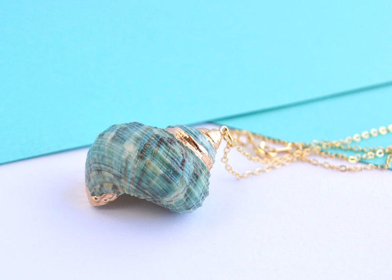 natural sea shell green pendant  