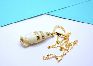 natural sea shell pendant gold
