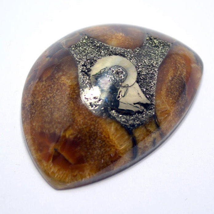 Fossil pyrite ammonite in simbircite cabochon