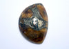 Fossil pyrite ammonite in simbircite cabochon